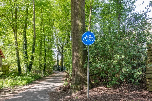 Sadece bir bisiklet yolu olduğunu gösteren trafik işaretleri, halka açık bir parktaki yapraklı ağaçlar, yuvarlak mavi ve beyaz plaka arasında, Hollanda 'da güneşli bir gün, bir bisiklet çizimi var.