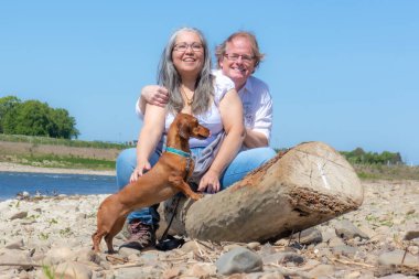 Olgun yürüyüş yapan bir çift kahverengi dachshund, Maasvallei doğa rezervi, arka planda Maas nehri, Güney Limburg, Hollanda 'da güneşli bir günde mola veriyor. Etkin yaşam konsepti