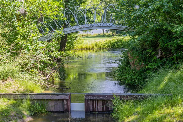 Металевий Міст Через Потік Водою Між Буйними Зеленими Деревами Рясною — стокове фото