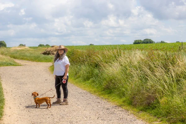 Olgun bir kadın kısa saçlı kahverengi dachshund 'uyla yürüyor, Hollanda çayırları arasında yürüyüş yapıyor, kovboy şapkası takıyor ve kamera takıyor, bahar günü Beek, Güney Limburg, Hollanda' da.