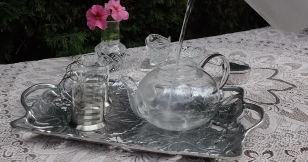 Placing Hot Water Infuser Mint Glass Teapot Two Cups Metal — 图库视频影像