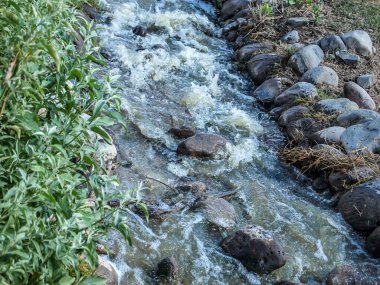 Yeşil bitki örtüsüyle çevrili küçük bir nehirde, taşların arasından hızla akan suyun yakın çekimi, bir kıyıda yapraklı bitkiler, diğer kıyıda çimenlerin arasında ise taşlar.
