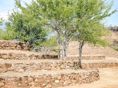 Yeşil ağaçlara karşı taş adımlar, İspanyol öncesi arkeolojik bölge, arka planda dairesel piramit, konik yapılar, kurak topraklarda güneşli bir gün, Teuchitlan Jalisco Mexico