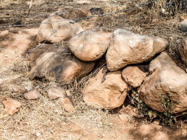 Kuru çimenlerin arasından çıkan bir grup taş, kayaların arasından çıkan yılan, dikenli teller, kurak arazi, Guachimontontones arkeolojik bölgesi, Teuchitln, Jalisco Mexico. İklim değişikliği kavramı