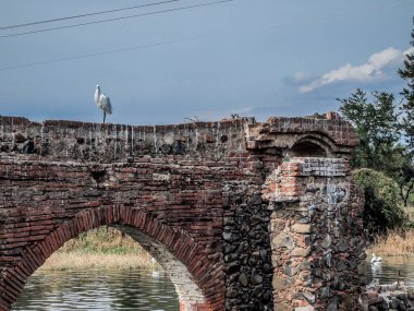 Eski harabelerdeki eski tuğla ve taş bir köprünün kemeri. Duvarda açık mavi bir gökyüzüne karşı duran bir balıkçıl. Kuru bitki örtüsünün arasında durgun suyla nehir.