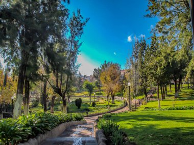 Empty Mexican public park against a clear blue sky, paved pedestrian walkway between green grass, trees and pole lamps, empty sidewalk, calm sunny morning in Zacatecas Mexico