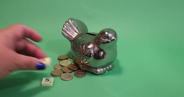 Adult Female Hand Placing Word Savings Next Bird Shaped Piggy — Stockvideo