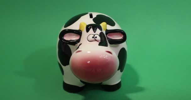 Front View Adult Female Hand Placing Coins Piggy Bank Shaped — 图库视频影像