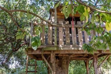 Branches with green leaves of a fruit tree against a wooden tree house built on a tree trunk with greenery on blurred background, ladder to climb, fence and hut surrounded, sunny summer day in a farm