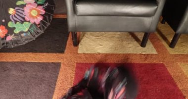 Throw clothes on the carpeted floor, blouse, dress, flower print skirt, black pants, red shoes, day to organize the wardrobe and closet. Concept of ordering the home