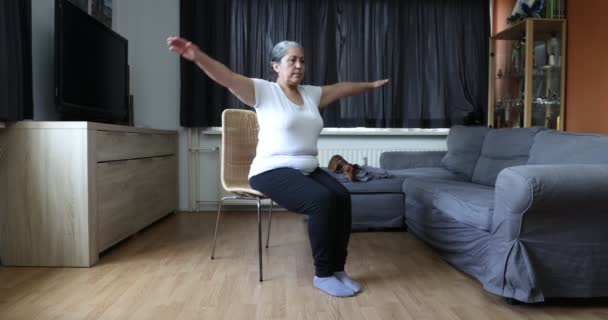 Ανώτερη Γυναίκα Κάνει Τέντωμα Χεριού Κάθεται Στην Καρέκλα Dachshund Σκυλί — Αρχείο Βίντεο