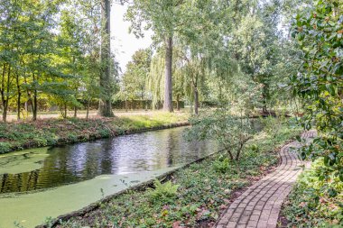 Yeşil yapraklı ağaçlar ve vahşi bitki örtüsü arasındaki kanal, arka planda kaybolan dar tuğlalar, su yüzeyinde açan algler, Hollanda, Güney Limburg 'da güneşli bir yaz günü.