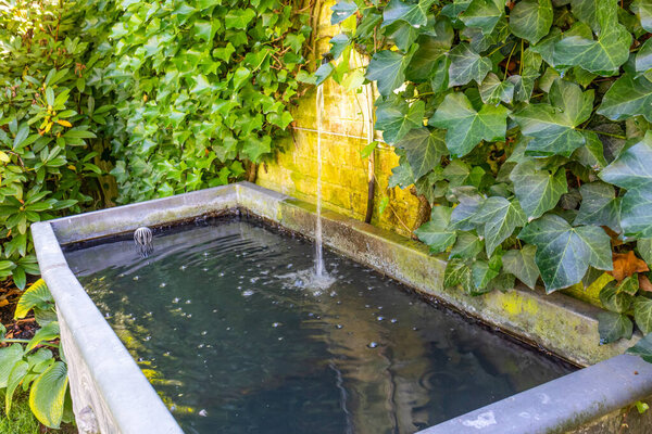 Поток воды, падающий в резервуар чистой воды в саду против пожелтевшей стены плесени от влаги с растениями восхождения с зеленой листвы и пышной растительностью в саду