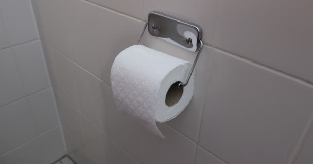 Erwachsene Weibliche Hände Nehmen Toilettenpapier Aus Einem Papierhalter Der Badezimmerwand — Stockvideo
