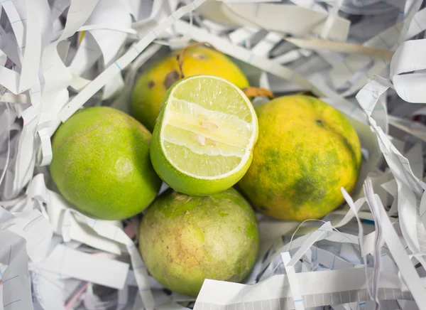 Mész citrusfélék — Stock Fotó