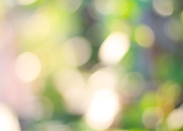 doğal yeşil Mevsimlik arka plan