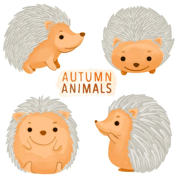 Set Watercolor Painted Hedgehog Autumn Animal Wildlife Clipart Hand Drawn — Stock Vector