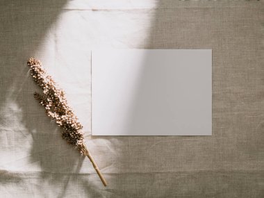 Davetiye kartı modeli, boş tebrik kartı şablonu. Minimalist tarzda düz yatıyordu..