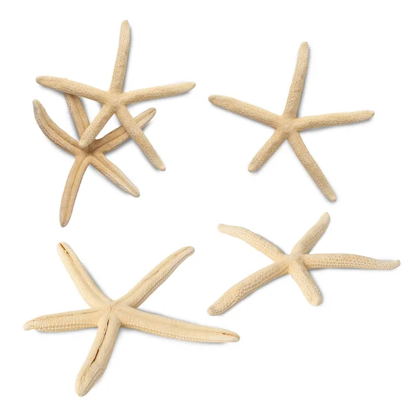 Колекція Starfish Ізольована Білому Тлі Відсічним Контуром — стокове фото