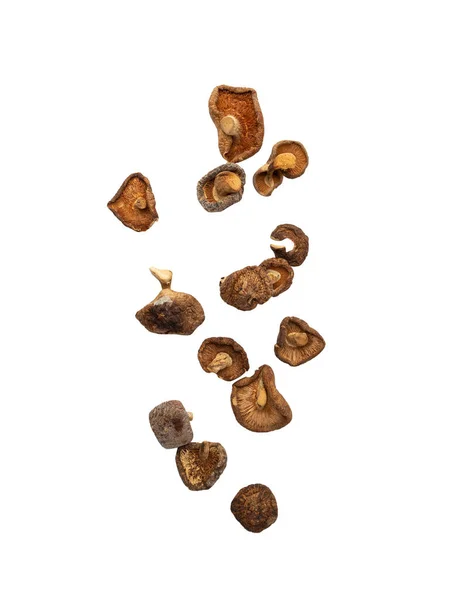 Falling Shiitake Mushroom Isolated White Background Clipping Path — Stock Photo, Image