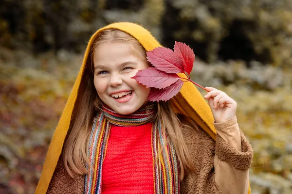 Симпатична Дівчинка Теплому Одязі Капелюсі Прогулянці Парку Під Час Осіннього — стокове фото