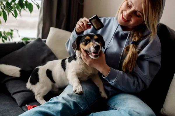 Korona Virüsü Karantinası Sırasında Evdeki Hayvan Bakımı Tırnaklarını Kesip Köpeğin — Stok fotoğraf