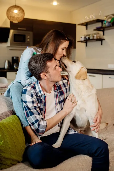 Genç Çift Tüylü Bebek Labrador Köpekleri Mutfakta — Stok fotoğraf