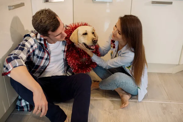 Genç Çift Tüylü Bebek Labrador Köpekleri Mutfakta — Stok fotoğraf