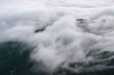 Puslu, rengarenk gündoğumu sabahı sonbahar boyunca ormanda