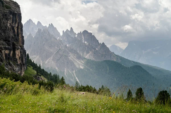 Tre Cimeのドロマイト山 イタリア 青空と晴れた夏の日の間に緑の芝生の前景と — ストック写真