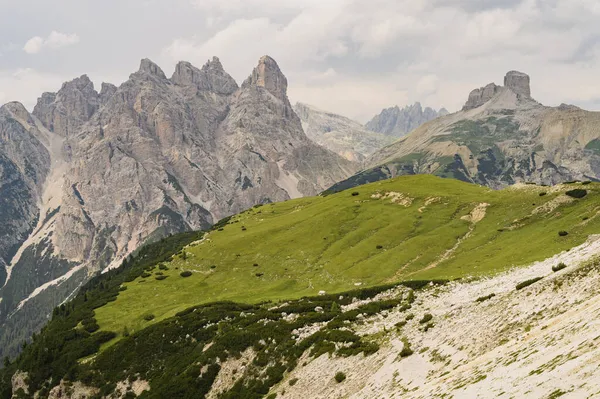 Tre Cimeのドロマイト山 イタリア 青空と晴れた夏の日の間に緑の芝生の前景と — ストック写真