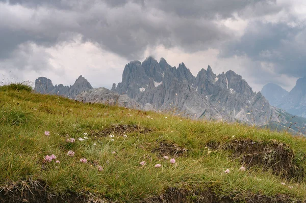 Tre Cimeのドロマイト山 イタリア 青空と晴れた夏の日の間に緑の芝生の前景と — ストック写真