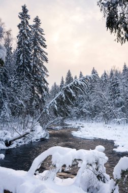 Karlı kış boyunca Amata Nehri boyunca kışın manzarası.