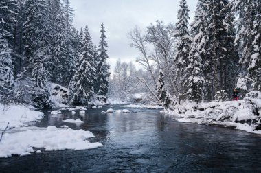 Karlı kış boyunca Amata Nehri boyunca kışın manzarası.