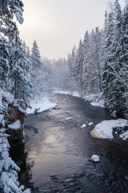 Karlı kış boyunca Amata Nehri boyunca kışın manzarası.