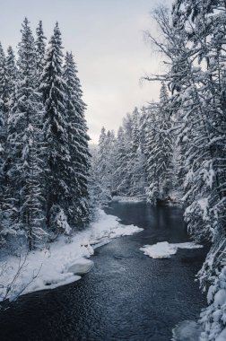 Karlı kış boyunca Amata Nehri boyunca kışın manzarası.