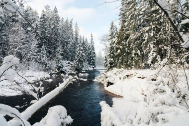 Karlı kış boyunca Amata Nehri boyunca kışın manzarası.
