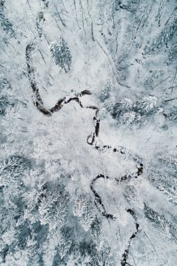 Ormandaki kışın havadan görünüşü, küçük bir nehir sırayla ağaçların düşünmesini sağlıyor. 