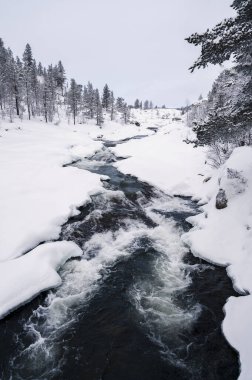 Kış boyunca Norveç 'in karlı dağlarında küçük bir nehir 