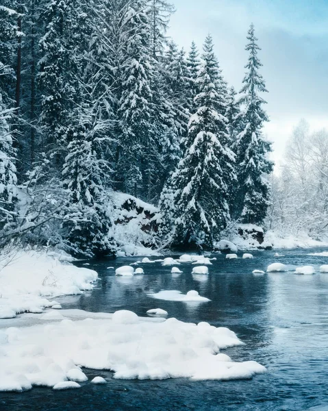 Paisaje Invierno Paisaje Largo Del Río Amata Sendero Durante Invierno — Foto de Stock