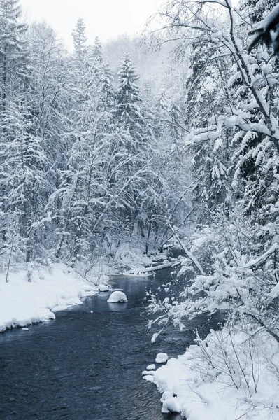 Winter Landscape Scenery River Amata Trail Snowy Winter — Stock Photo, Image