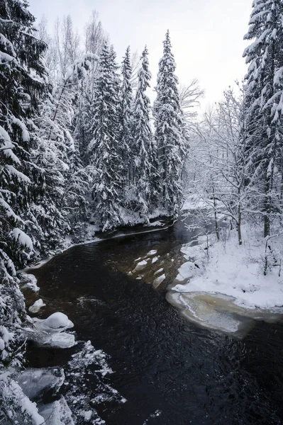 Winter Landscape Scenery River Amata Trail Snowy Winter — Stock Photo, Image