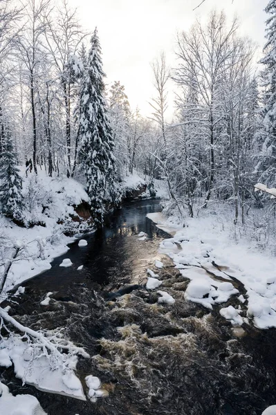 Paisaje Invierno Paisaje Largo Del Río Amata Sendero Durante Invierno — Foto de Stock