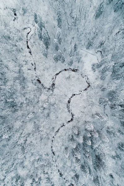 Luftaufnahme Des Winters Wald Mit Kleinem Fluss Macht Wendungen Dachte — Stockfoto