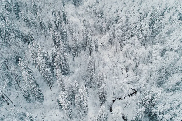 Vista Aérea Del Invierno Bosque Con Pequeños Ríos Haciendo Vueltas — Foto de Stock