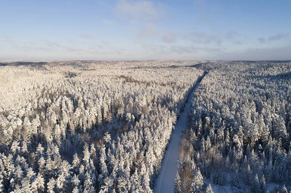Luchtfoto Van Bos Tijdens Winter Met Een Weg — Stockfoto