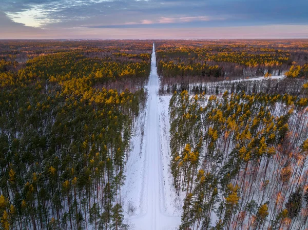 Luchtfoto Van Zonsopgang Boven Bos Velden Winter — Stockfoto