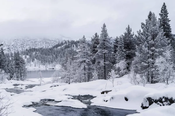 Μικρό Ποτάμι Στα Χιονισμένα Νορβηγικά Βουνά Κατά Διάρκεια Του Χειμώνα — Φωτογραφία Αρχείου