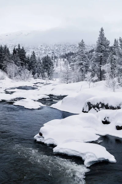 Kleiner Fluss Den Schneebedeckten Bergen Norwegens Winter — Stockfoto