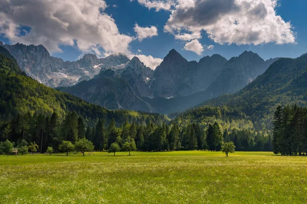 Panoramisch Landschap Van Juliaanse Alpen Slovenië Zomer — Stockfoto